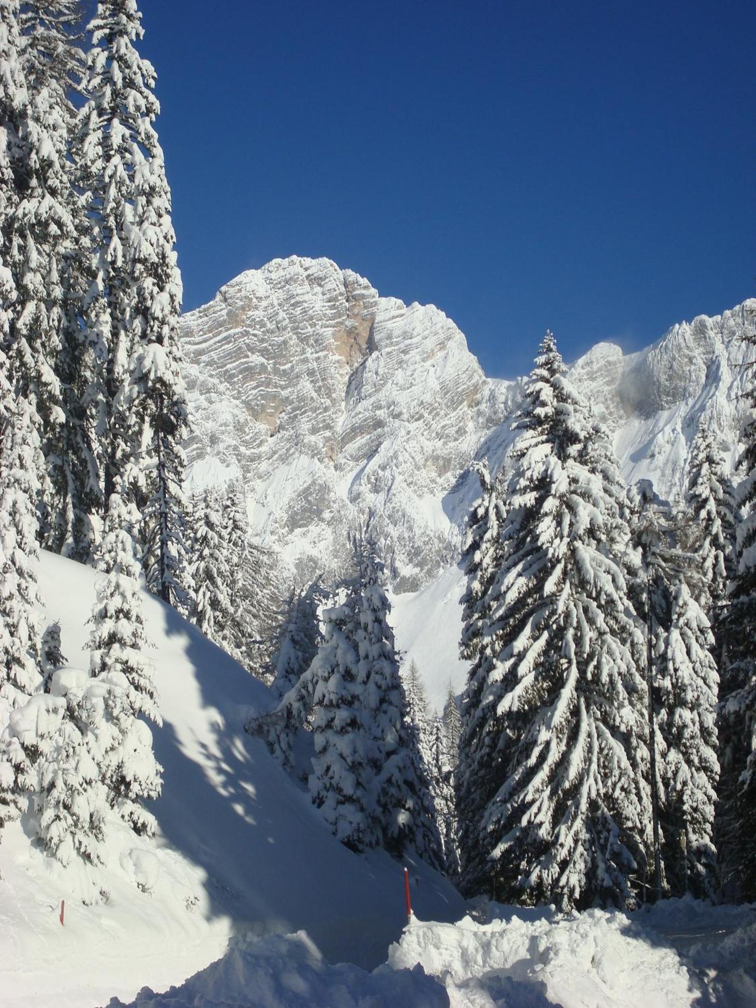 Bergerhof Hotel Ramsau am Dachstein Buitenkant foto