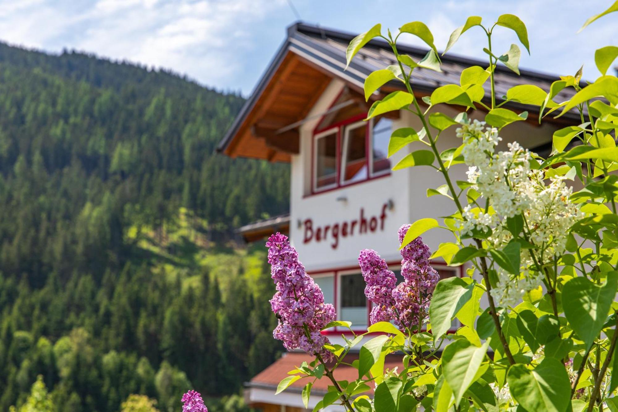 Bergerhof Hotel Ramsau am Dachstein Buitenkant foto